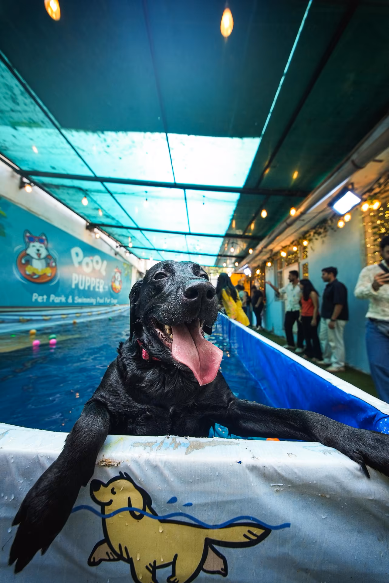 Splash & Sniff Photo 1