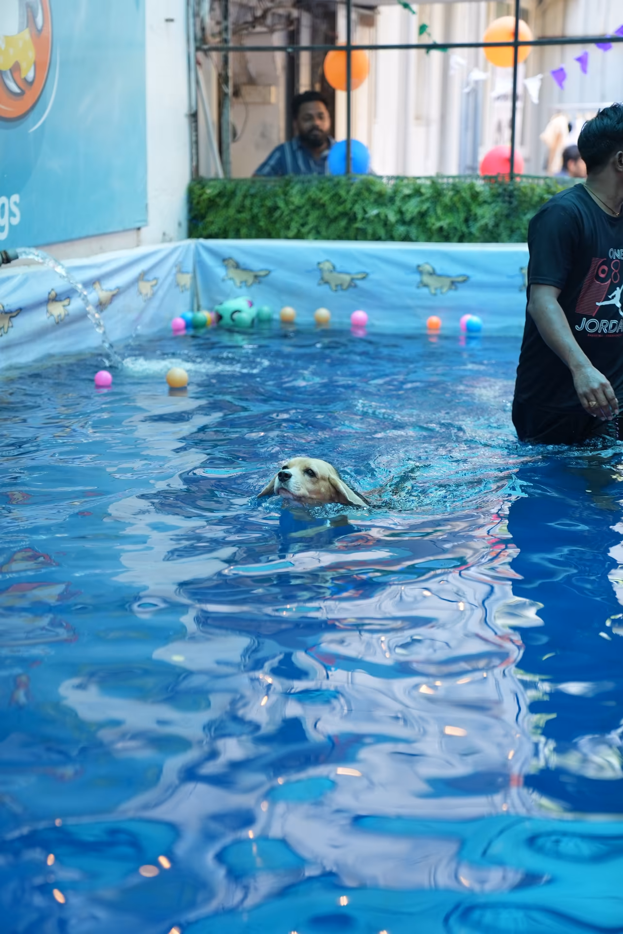 Splash & Sniff Photo 2