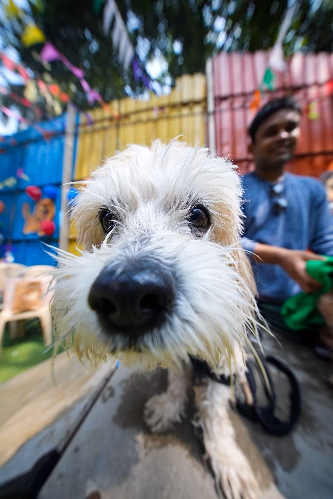 Splash & Sniff Photo 16