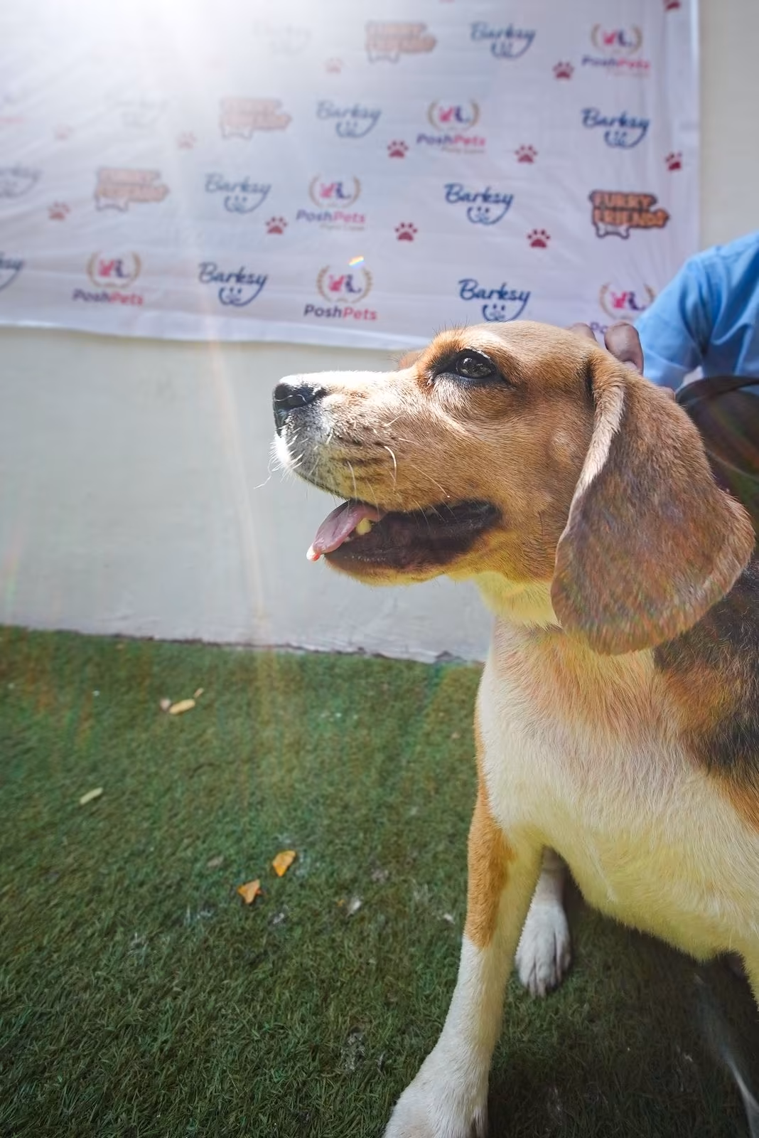 Splash & Sniff Photo 17