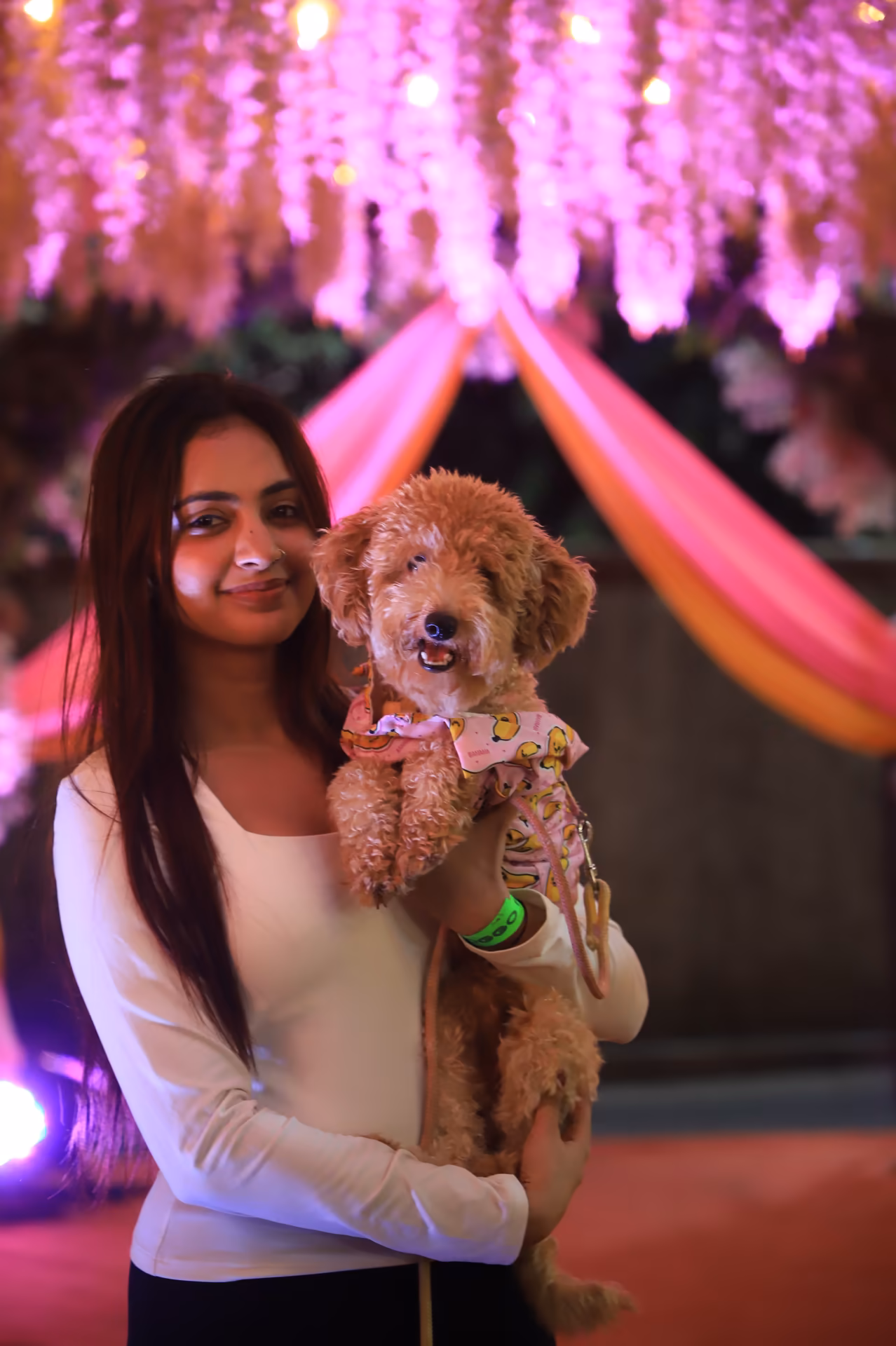 The Big Doggy Wedding Photo 8