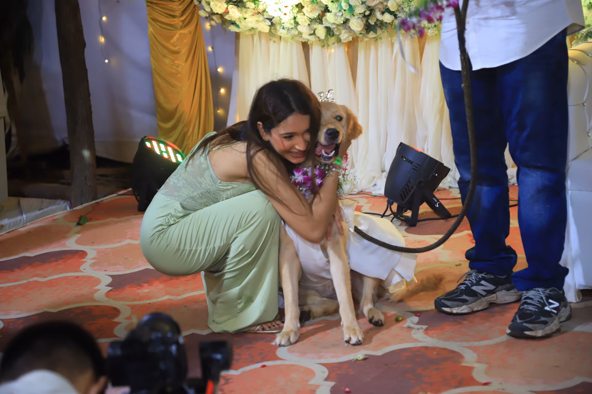 The Big Doggy Wedding Photo 18