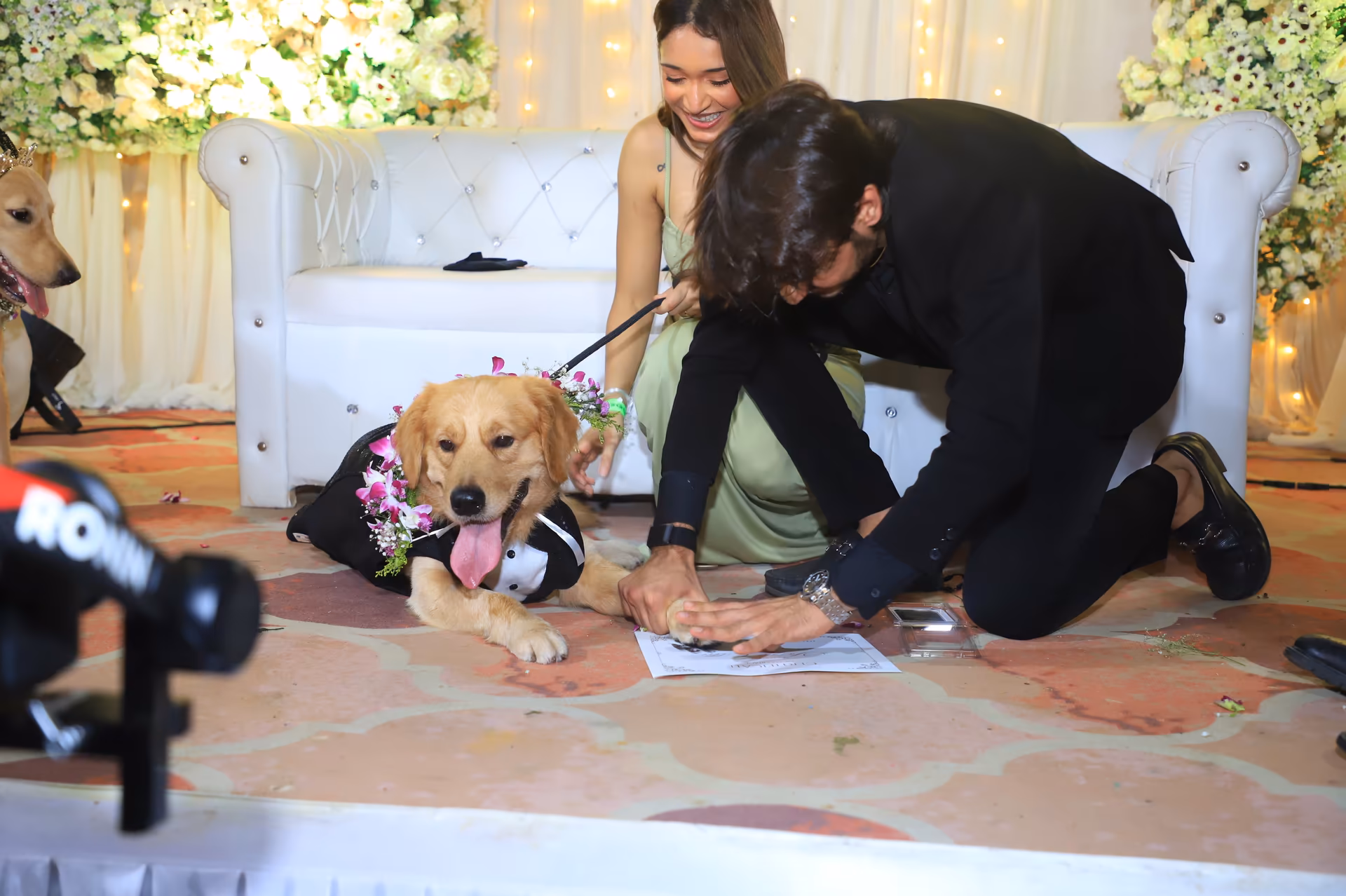 The Big Doggy Wedding Photo 19