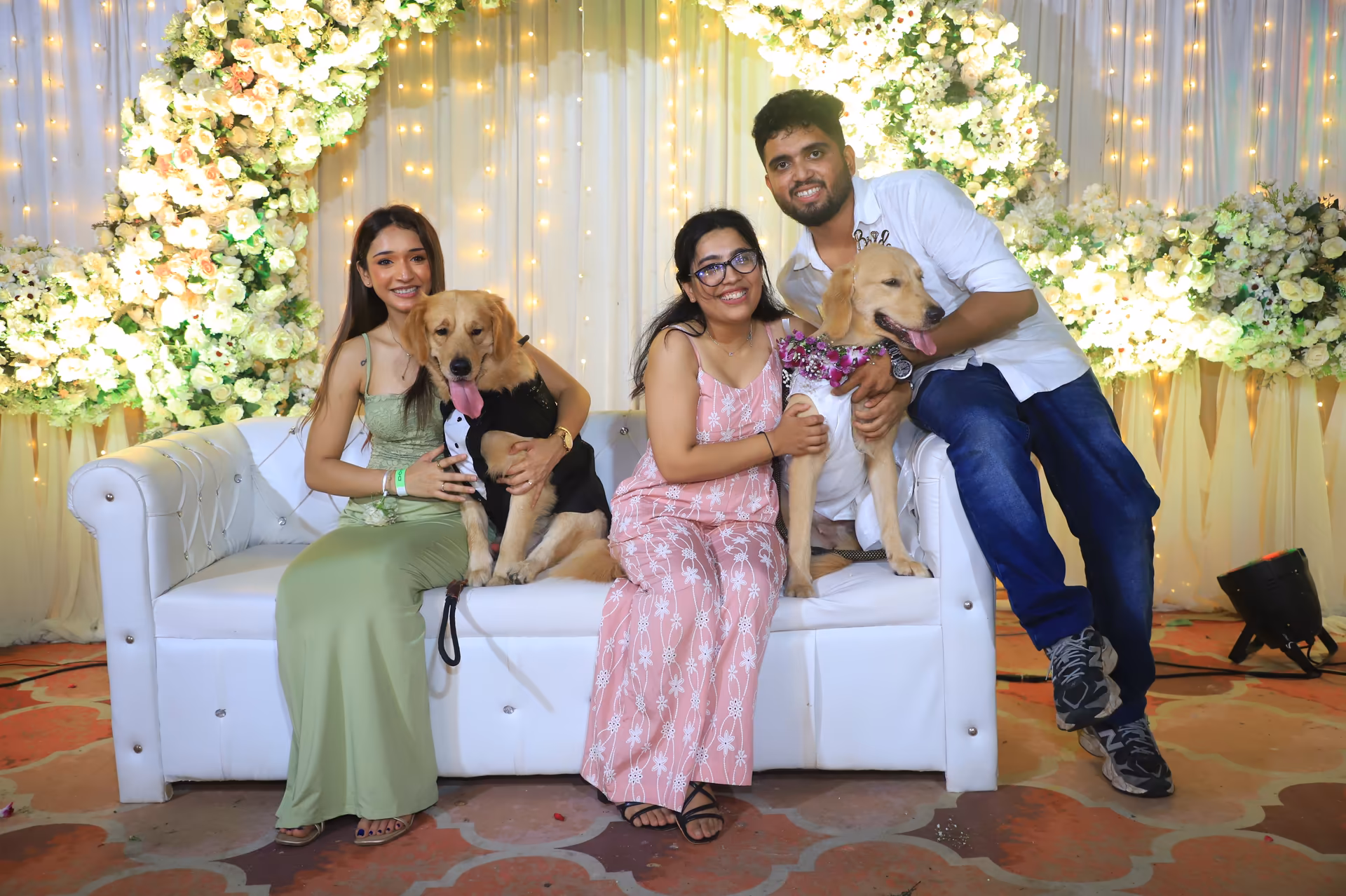 The Big Doggy Wedding Photo 22